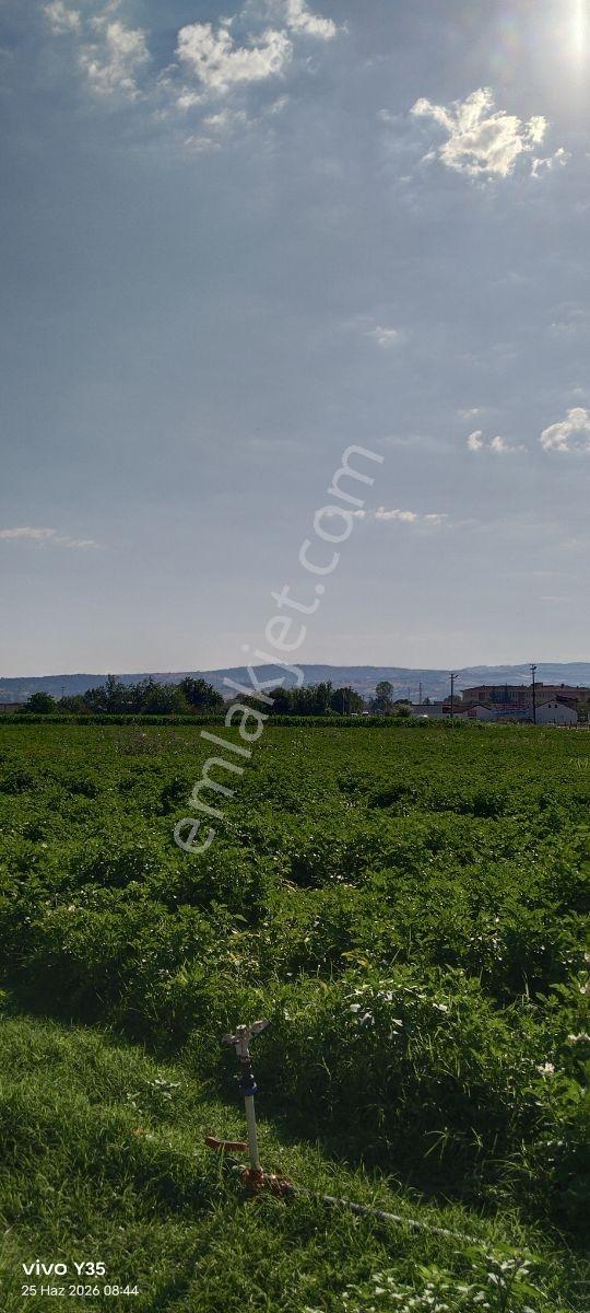 Satılık İmarlı Arsa İnegöl Mesudiye - Görsel 6