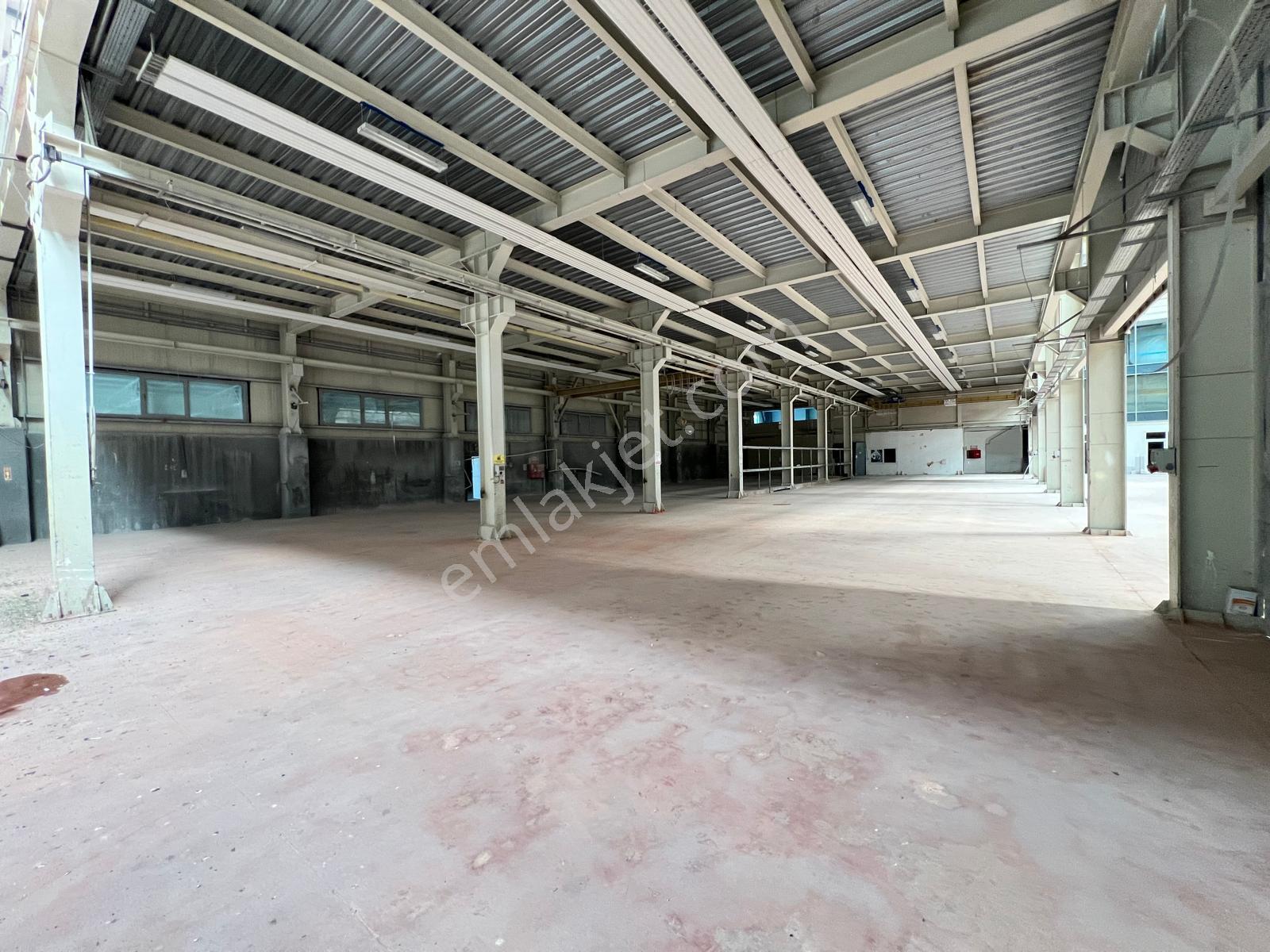Dilovası Osb'de 4300 M2+400 Kwa+radyan+kdv Avantajlı Kiralık Fab - Görsel 9