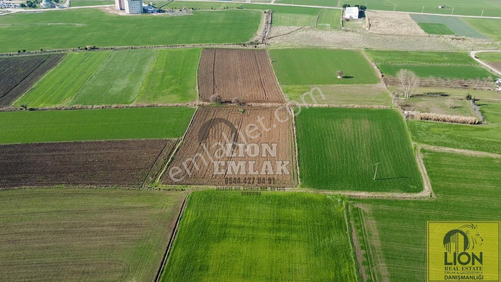 Lıon Emlak'tan Ömerli'de Sanayi Ve Cezaevi Yakını Satılık Tarla - Görsel 25