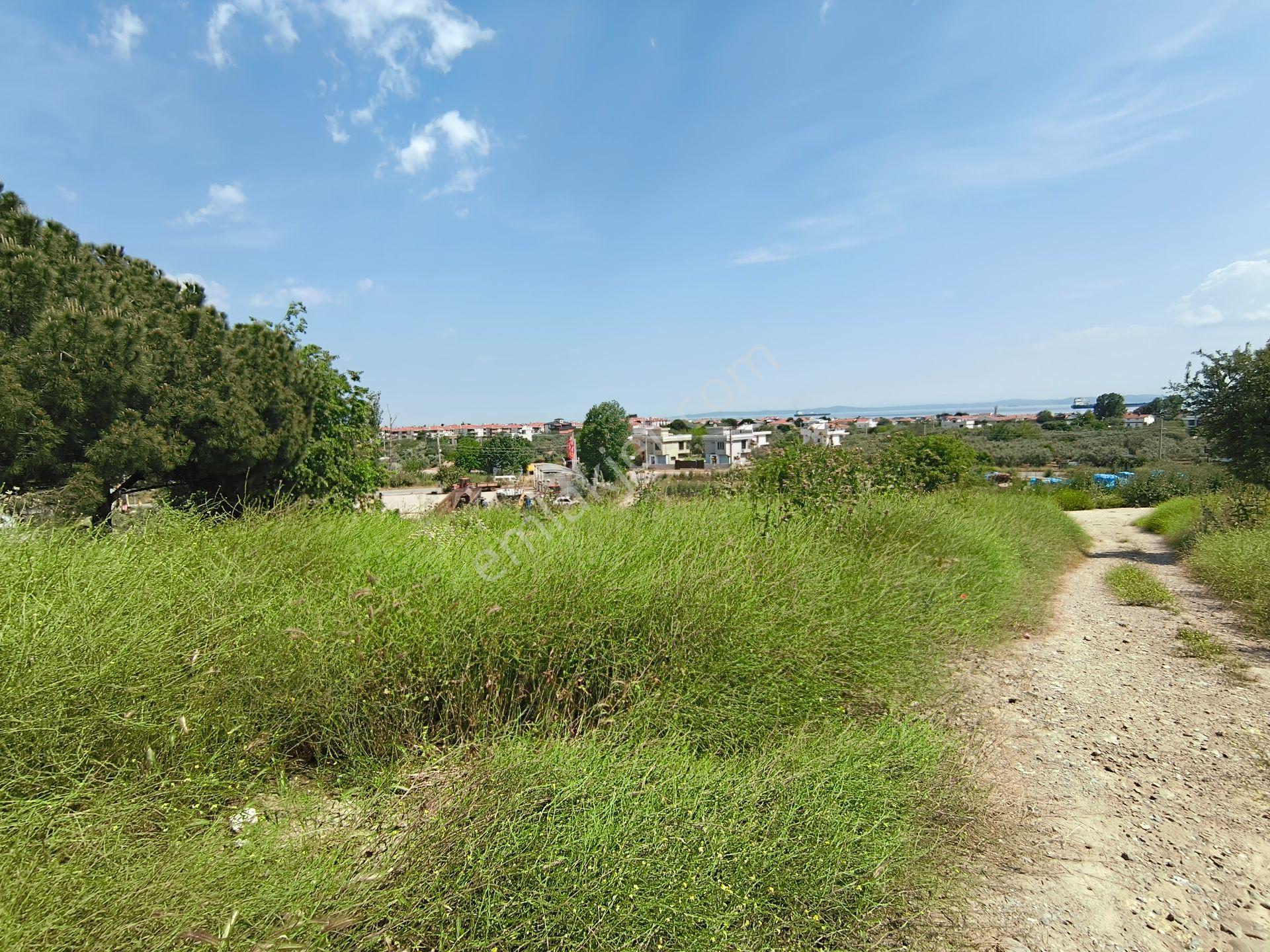 Bulut Yatırımdan 245 M² % 25 İmarlı Deniz Manzaralı Köşe Parsel Arsa - Görsel 17