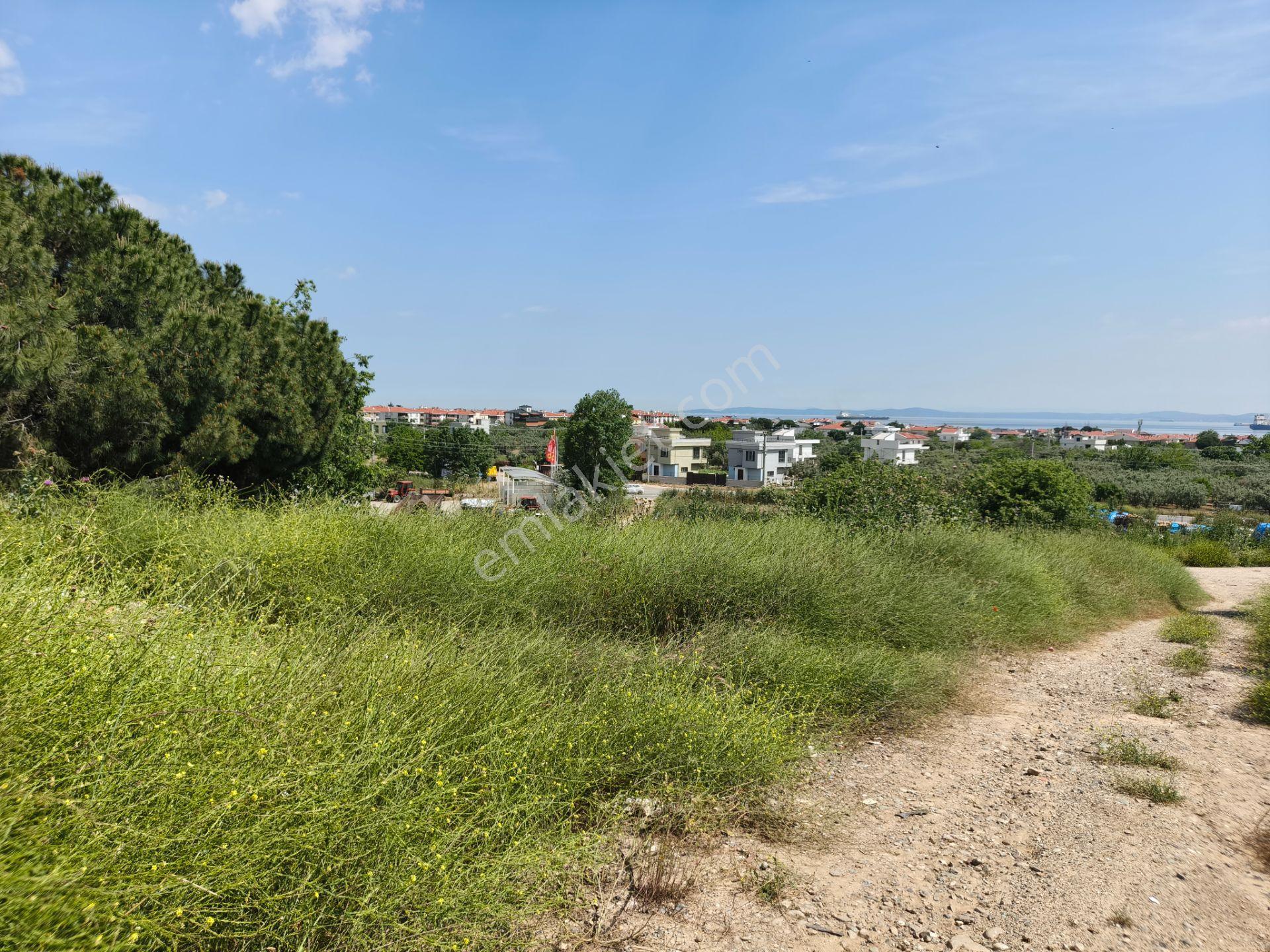 Bulut Yatırımdan 245 M² % 25 İmarlı Deniz Manzaralı Köşe Parsel Arsa - Görsel 15