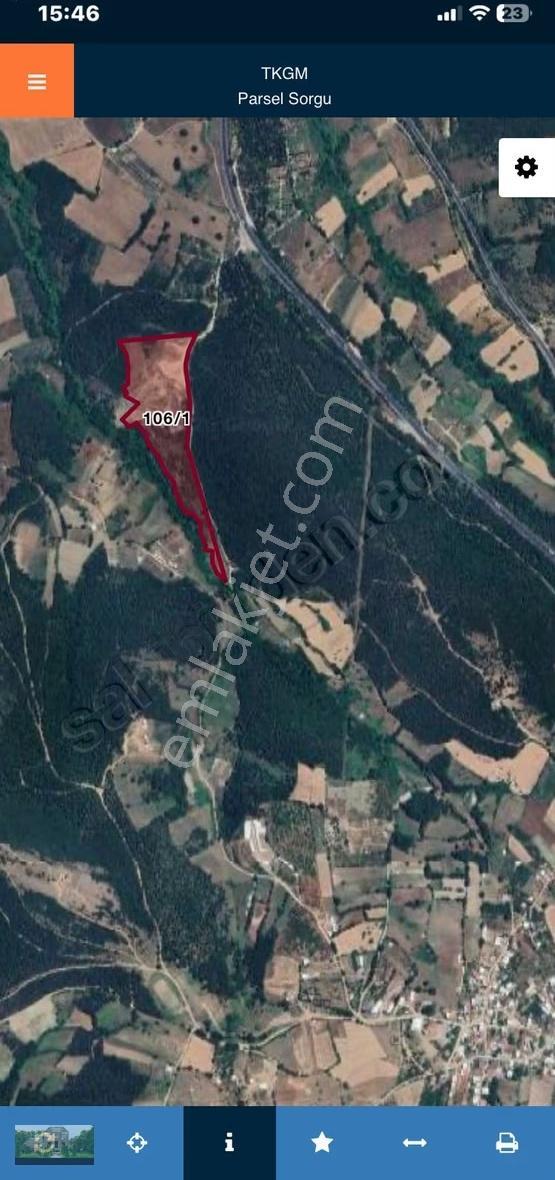Kestel Ümitalan'da 53.500 M² Satılık Tarla