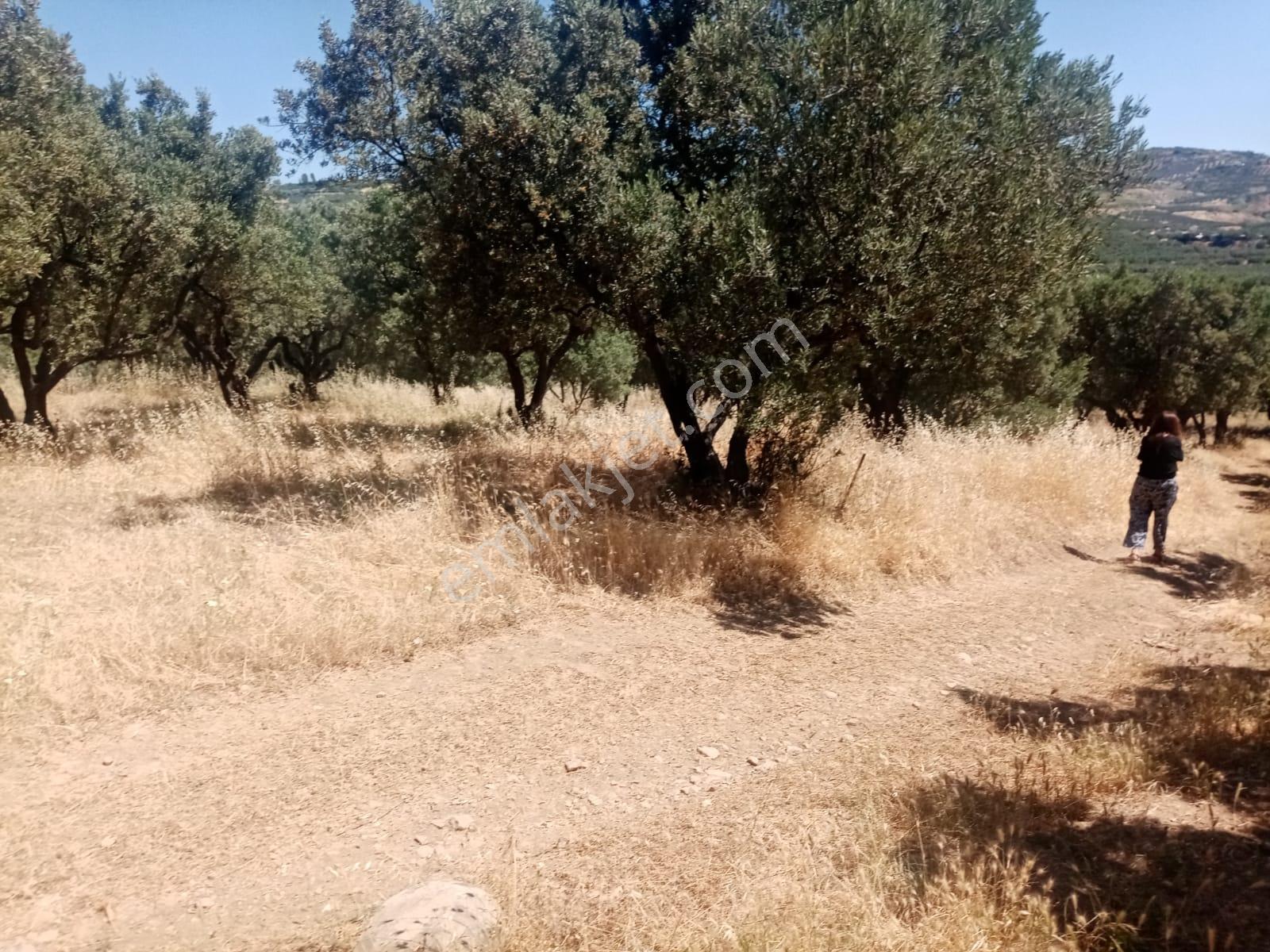 Bulut Yatırımdan 872 M² Merkezi Konumda Ulaşımı Kolay Zeytinlik - Görsel 12