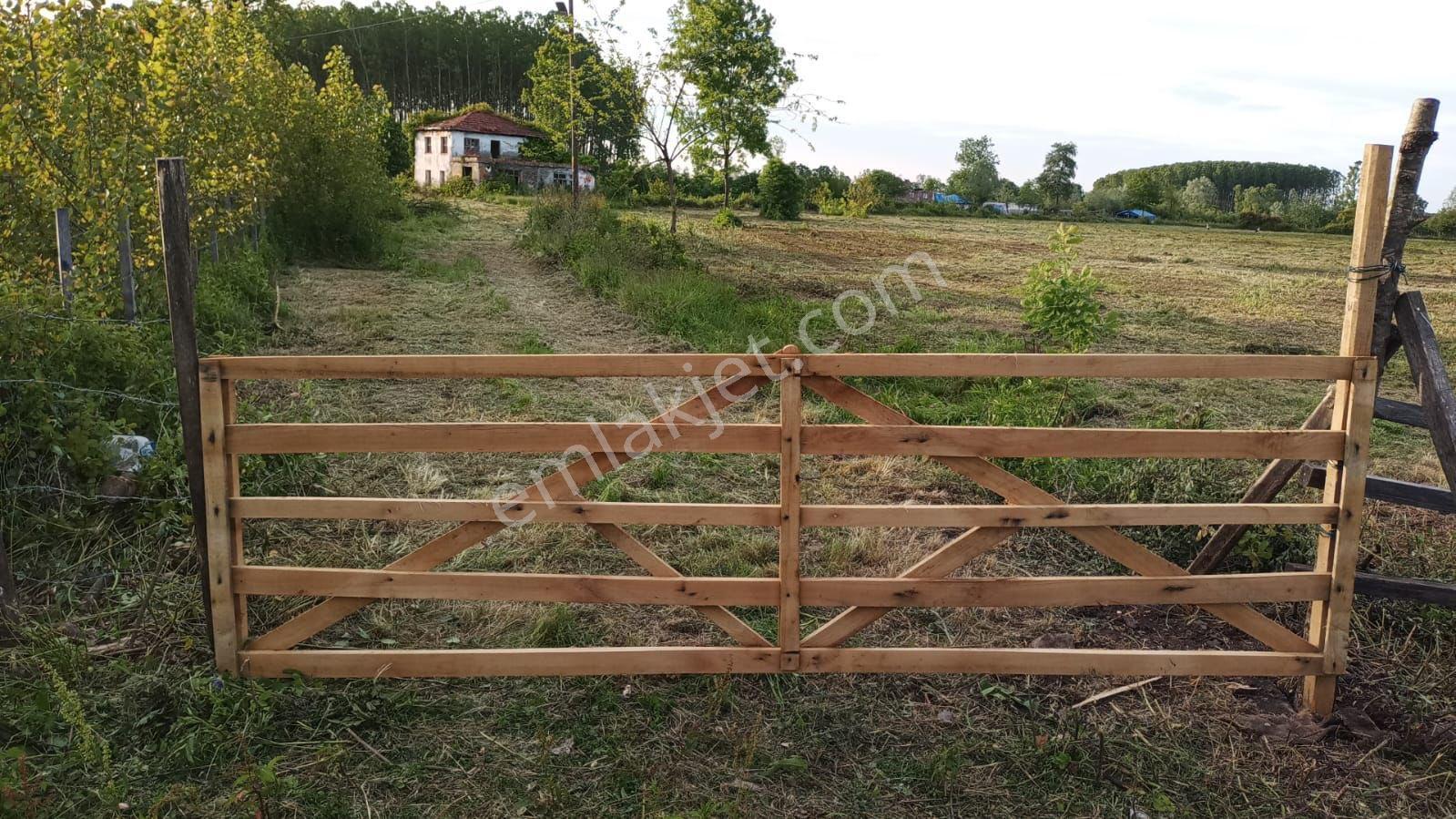 Sahibinden Terme Ortasöğütlü’de 11 Dönüm Tarla