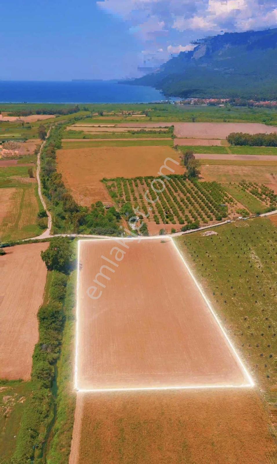 Akyaka Mahallesinde 10.952 M2 Tek Tapu Tarla