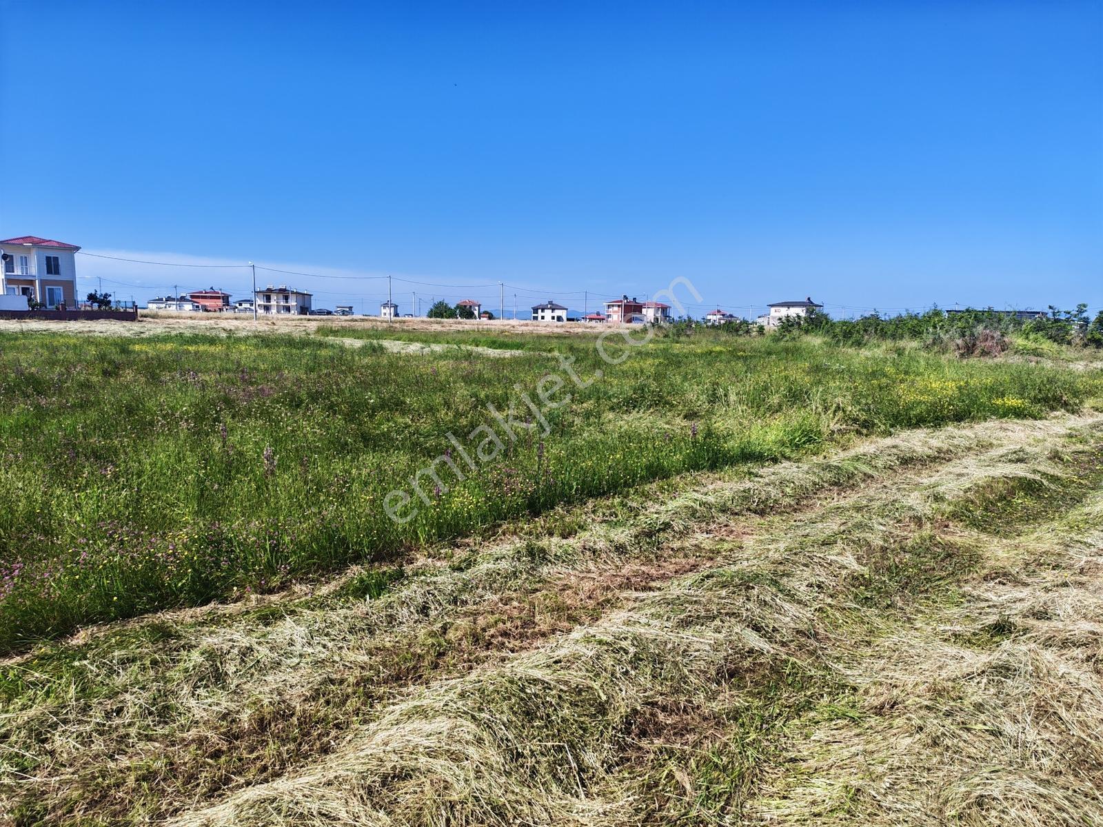 309 M2 Çanakkale Biga Çeşmealtı Villa İmarlı Seçkin Arsa 500 Mtr - Görsel 5