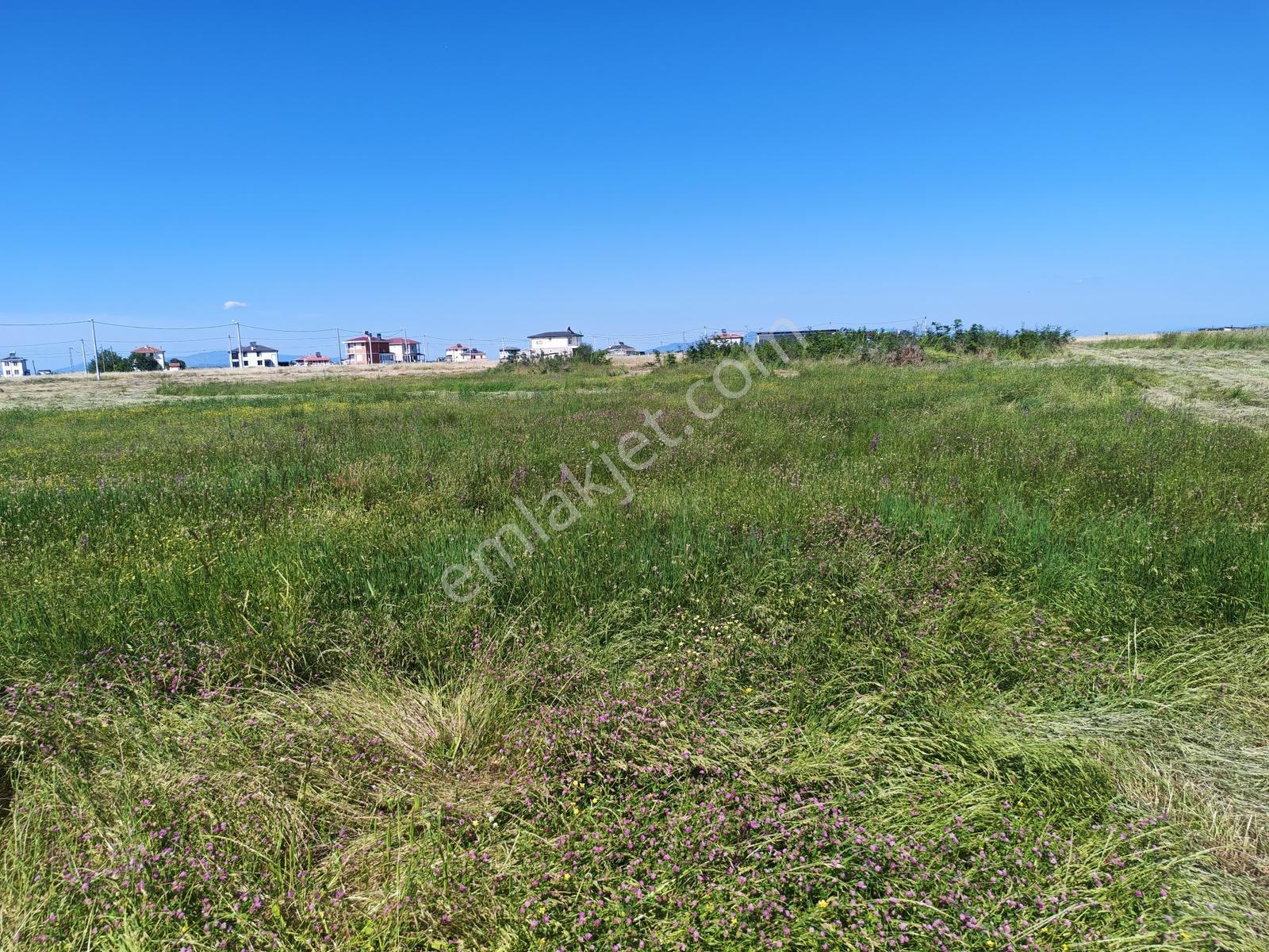 309 M2 Çanakkale Biga Çeşmealtı Villa İmarlı Seçkin Arsa 500 Mtr - Görsel 22