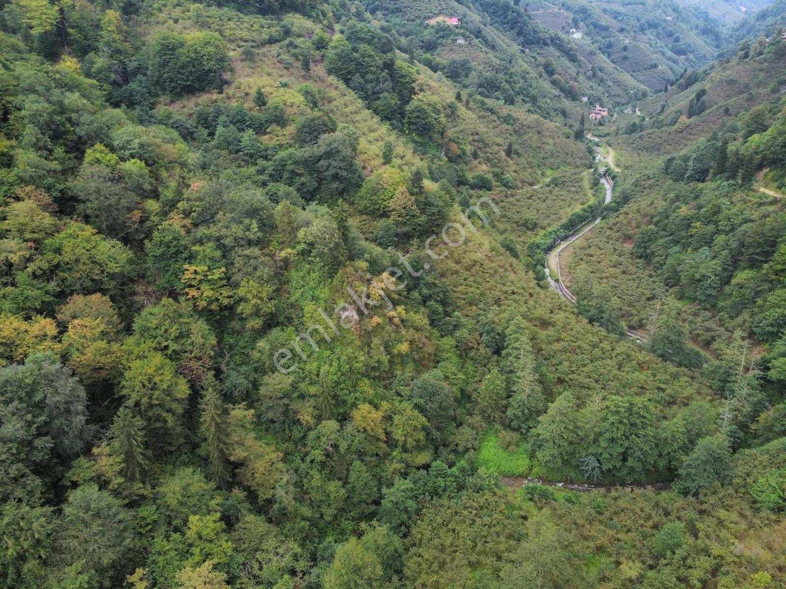 Trabzon Fırsat Arazi - Görsel 12