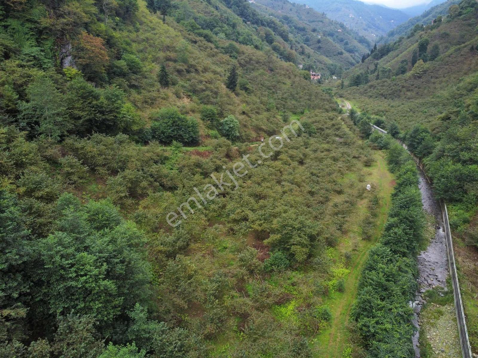 Trabzon Fırsat Arazi - Görsel 14