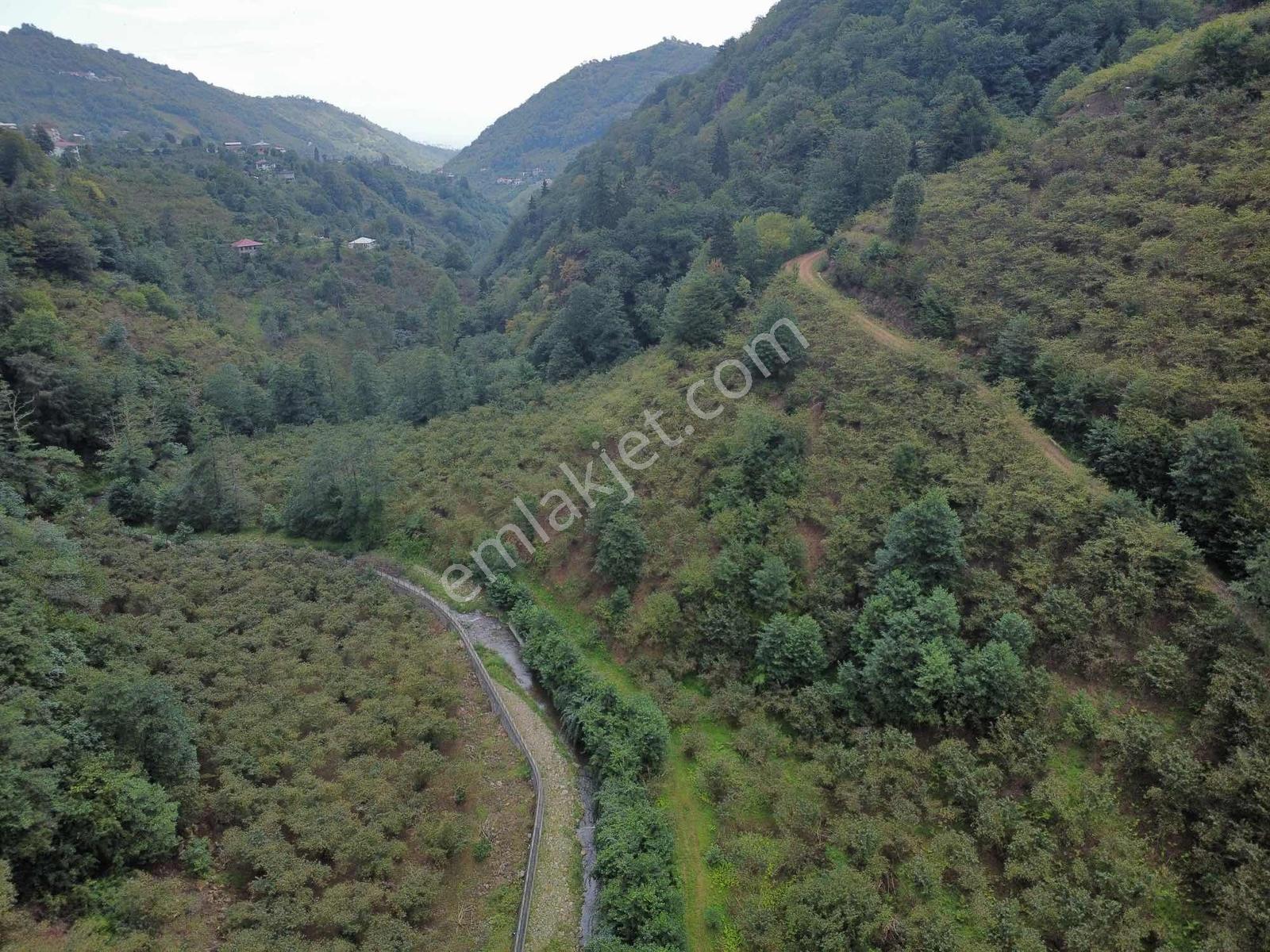 Trabzon Fırsat Arazi - Görsel 18