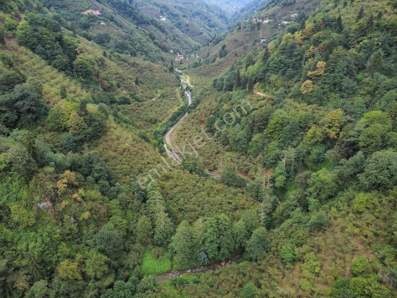 Trabzon Fırsat Arazi