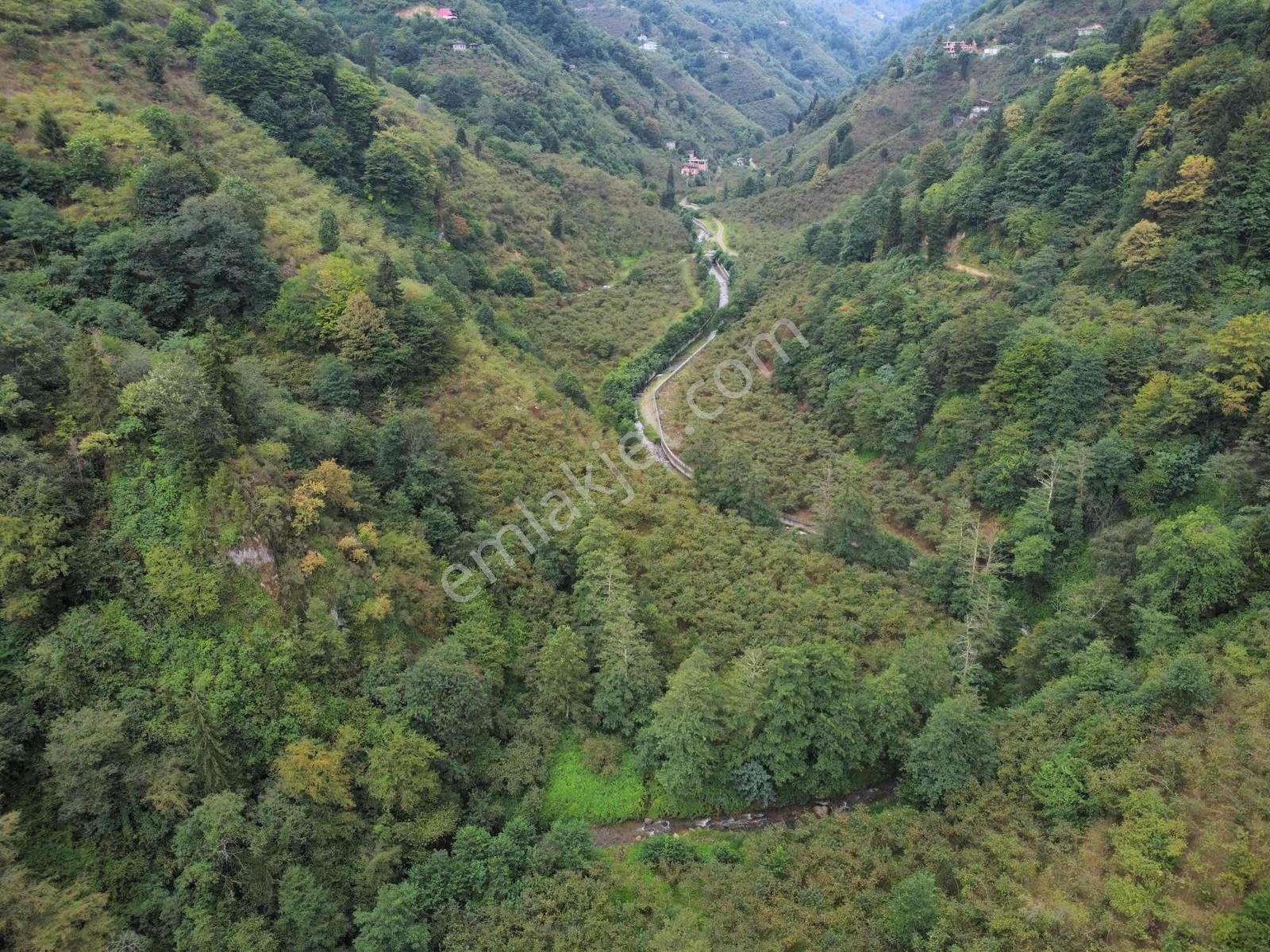 Trabzon Fırsat Arazi - Görsel 13
