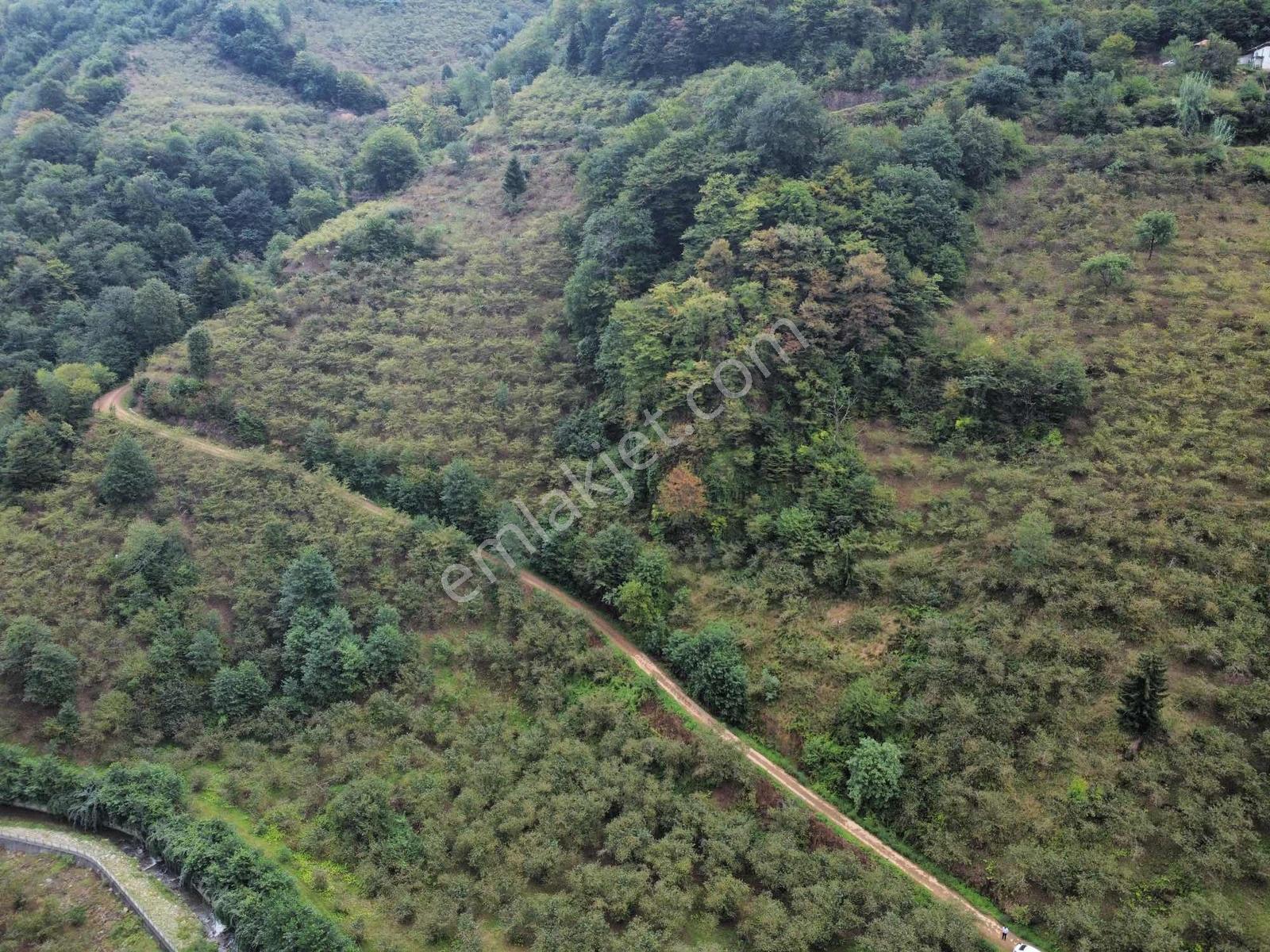 Trabzon Fırsat Arazi - Görsel 23
