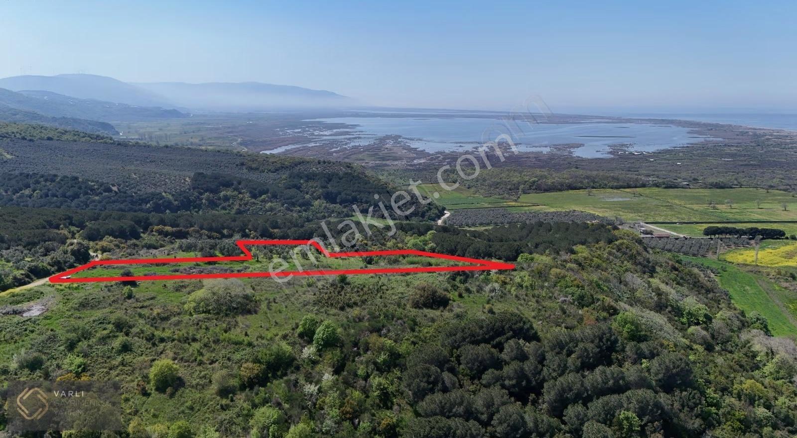 Mudanya Mesudiye Sahilde Deniz Manzaralı 3882 M² Tarla - Görsel 7