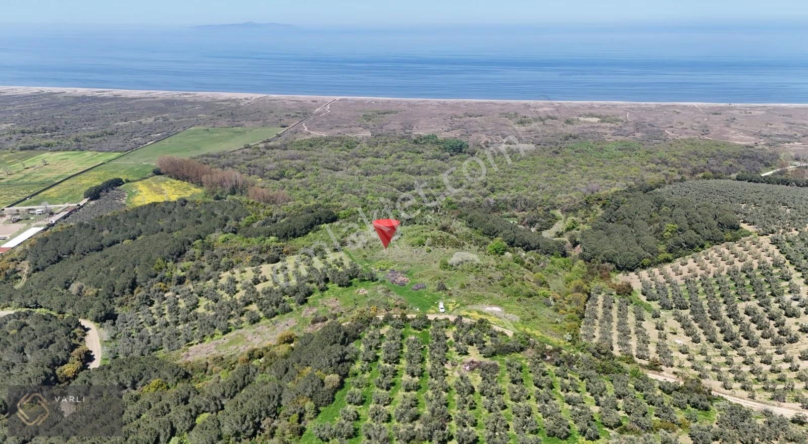 Mudanya Mesudiye Sahilde Deniz Manzaralı 3882 M² Tarla - Görsel 13