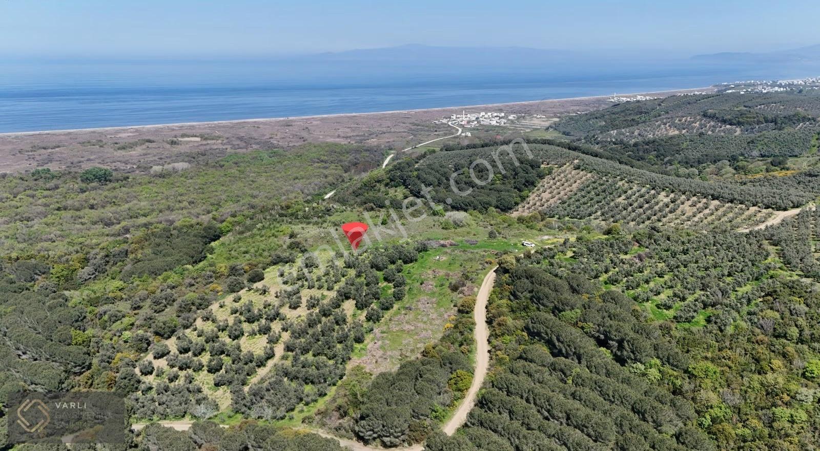 Mudanya Mesudiye Sahilde Deniz Manzaralı 3882 M² Tarla - Görsel 8
