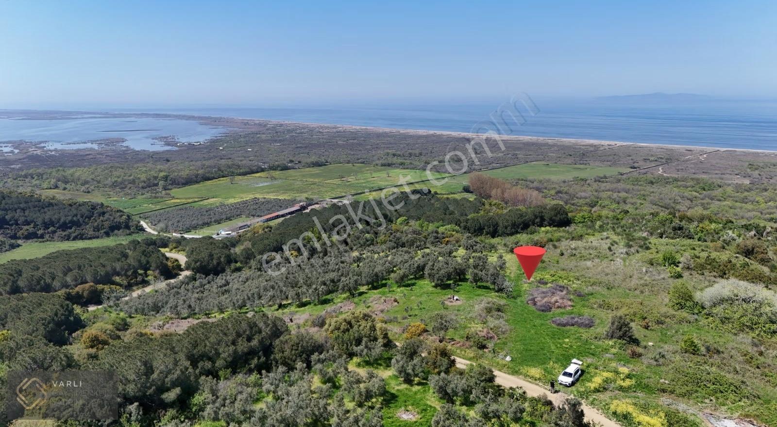 Mudanya Mesudiye Sahilde Deniz Manzaralı 3882 M² Tarla