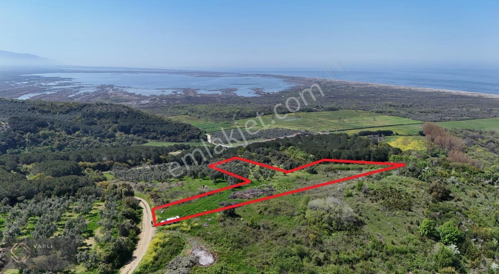 Mudanya Mesudiye Sahilde Deniz Manzaralı 3882 M² Tarla - Görsel 6