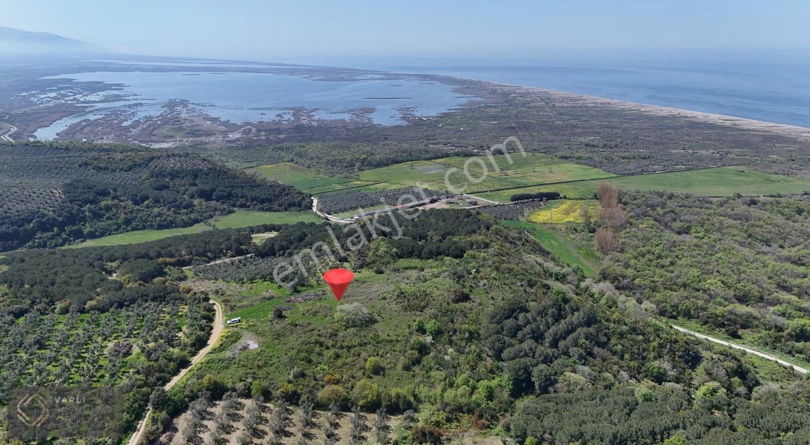 Mudanya Mesudiye Sahilde Deniz Manzaralı 3882 M² Tarla - Görsel 10