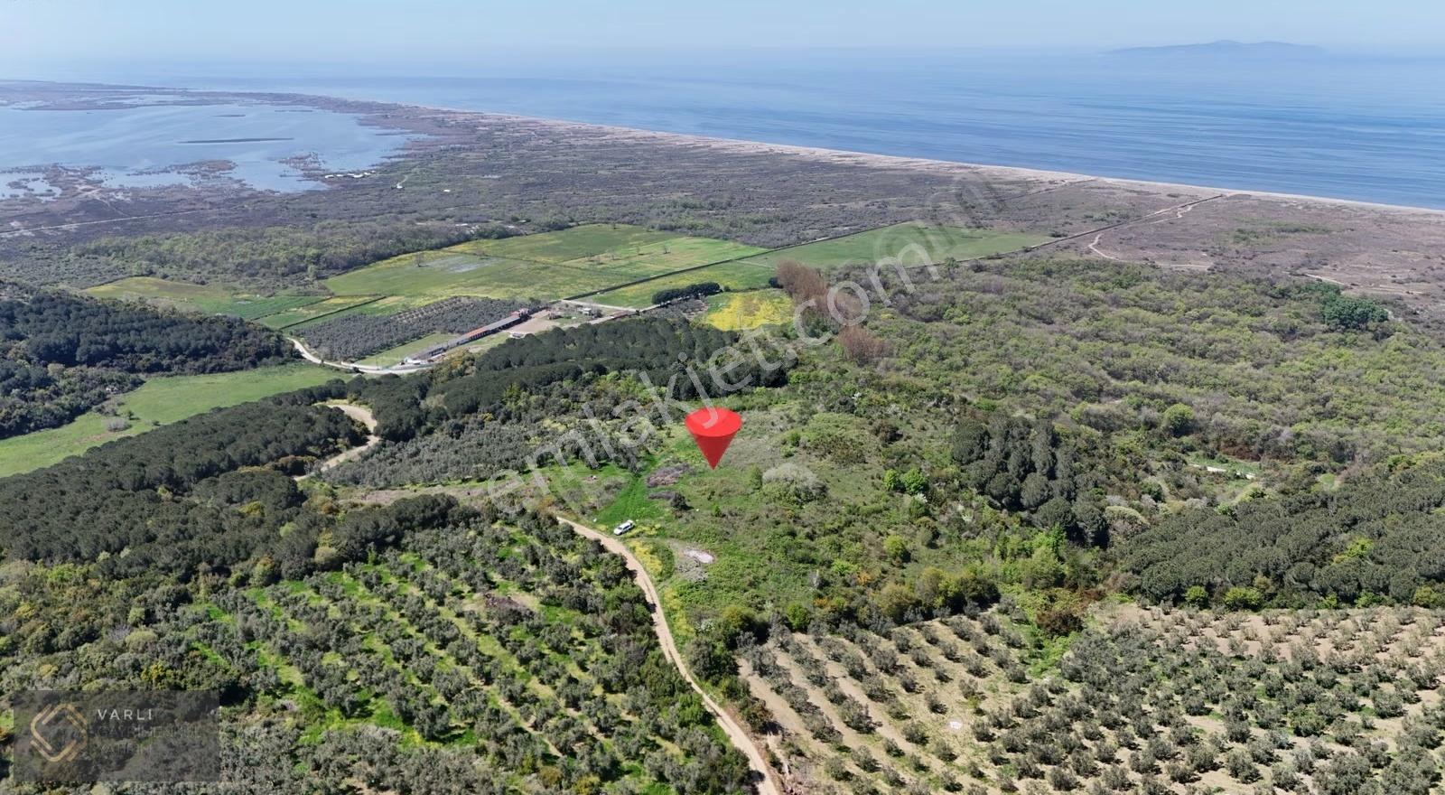 Mudanya Mesudiye Sahilde Deniz Manzaralı 3882 M² Tarla - Görsel 9