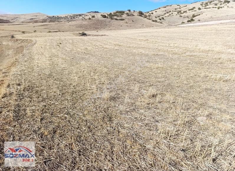 Moluda Yola Geniş Cephe Yatırımlık Satılık Tarla - Görsel 20