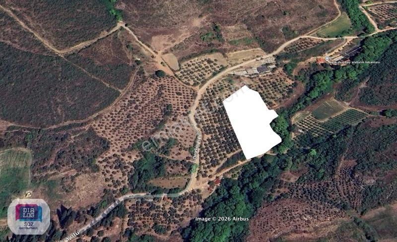 İznik Dereköy De Yola Cephe 8.950 M² Satılık Yatırım Tarlası - Görsel 11