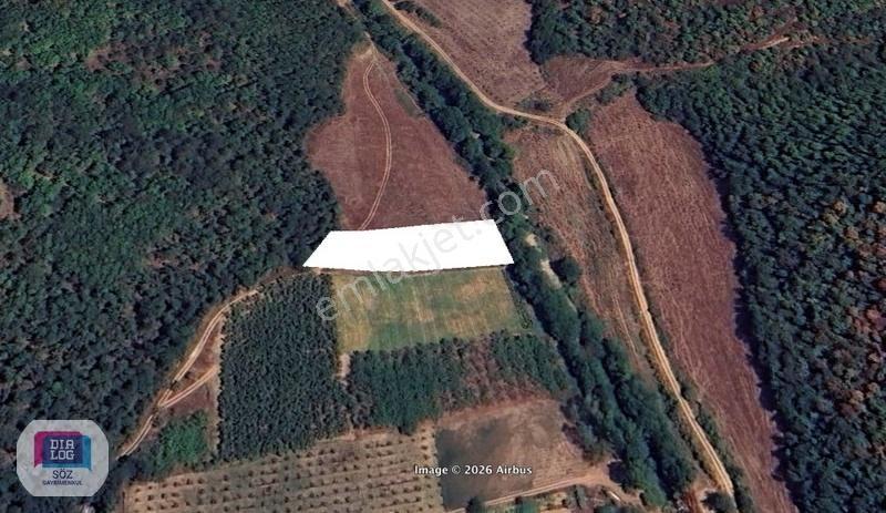 İznik Gürmüzlü De Satılık 530 M² Yatırım Tarlası Fırsatı - Görsel 8