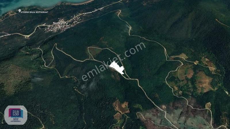 Orhangazi Narlıca'da Göl Manzaralı Satılık 12.400m² Tarla