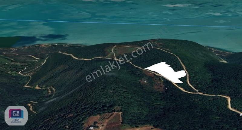 Orhangazi Narlıca'da Göl Manzaralı Satılık 12.400m² Tarla - Görsel 6
