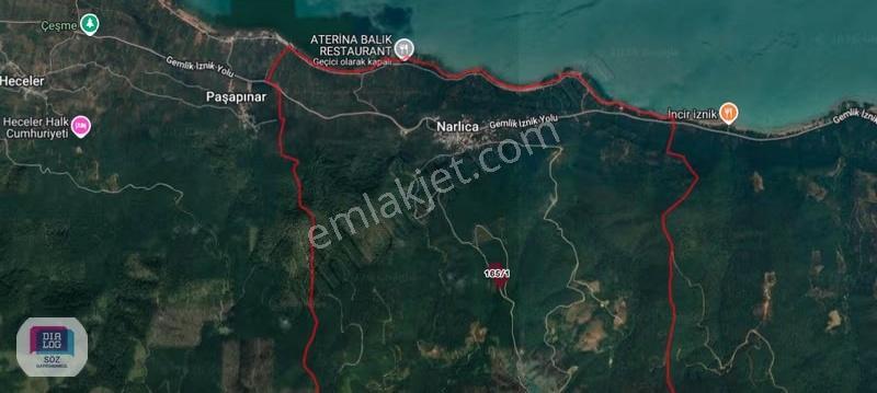 Orhangazi Narlıca'da Göl Manzaralı Satılık 12.400m² Tarla - Görsel 9
