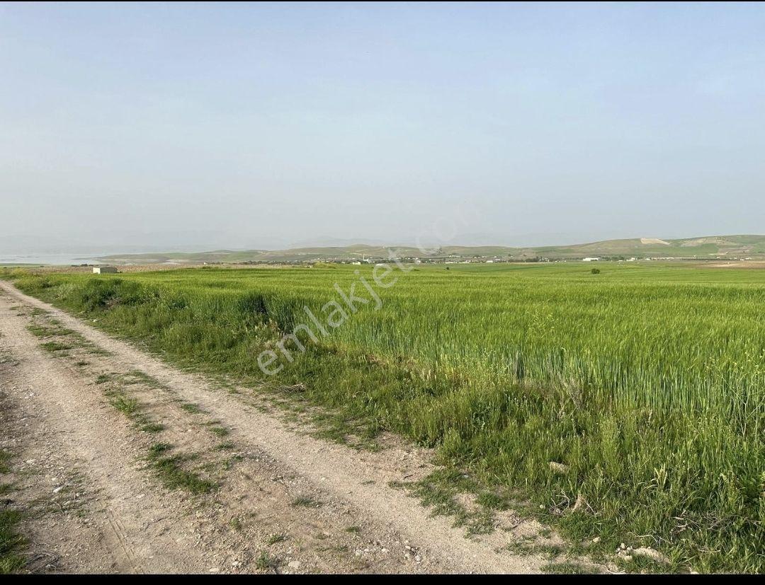 Merkez Üngüzek Köyünde Satılık Tarla