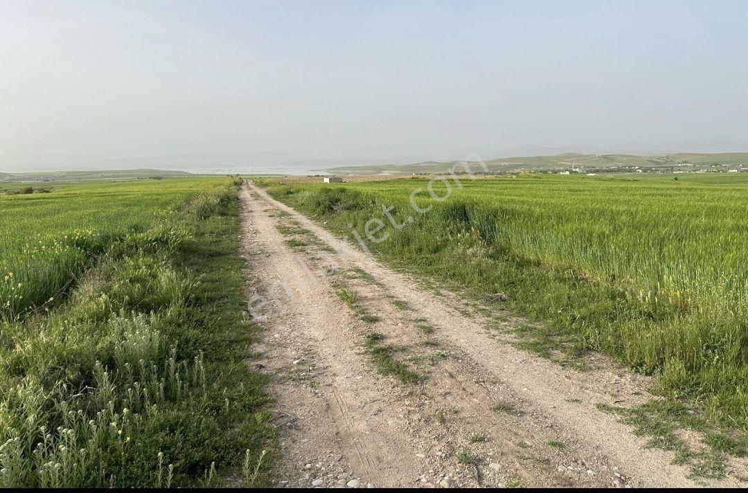 Merkez Üngüzek Köyünde Satılık Tarla - Görsel 6