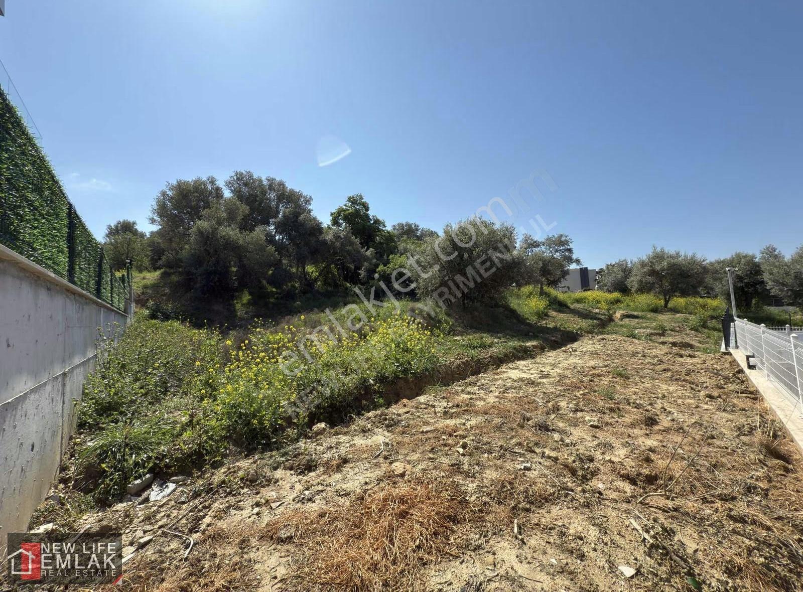 Kuşadası Kadınlar Denizi 2 Villalık Arsa - Görsel 9