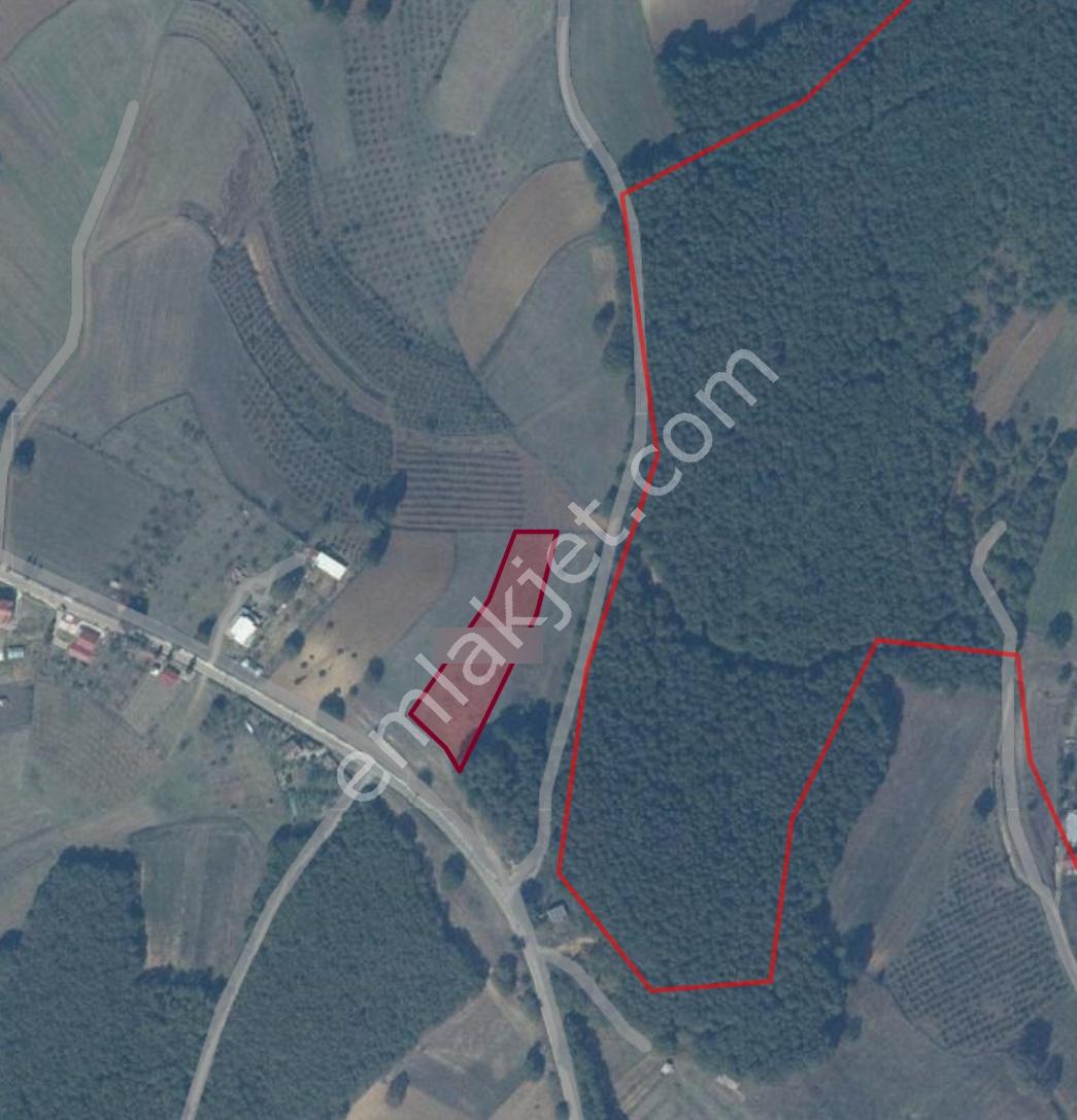 Adapazarı Karadavutlu'da Yatırımlık 4370m2 Arazi - Görsel 4