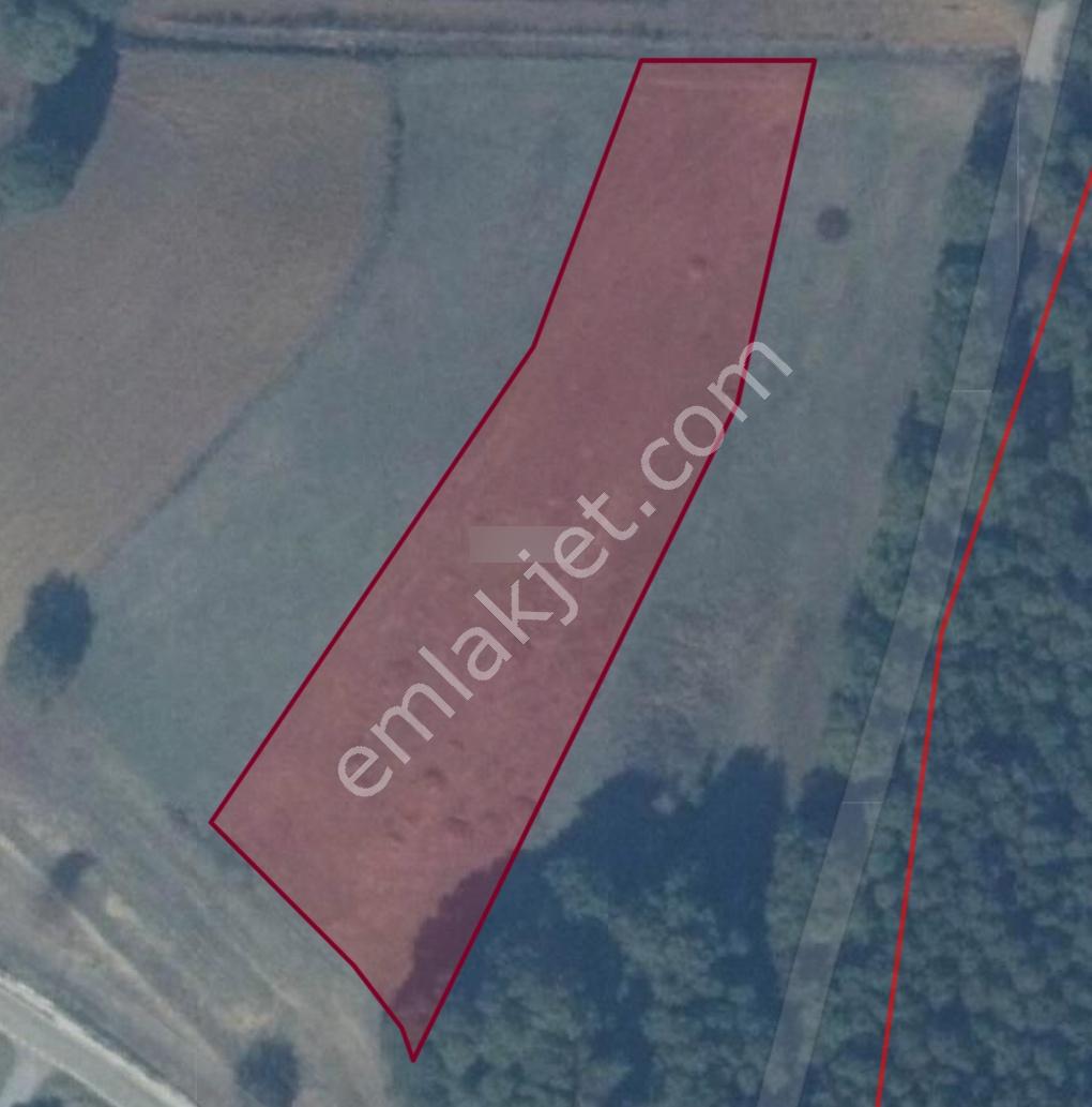 Adapazarı Karadavutlu'da Yatırımlık 4370m2 Arazi - Görsel 2