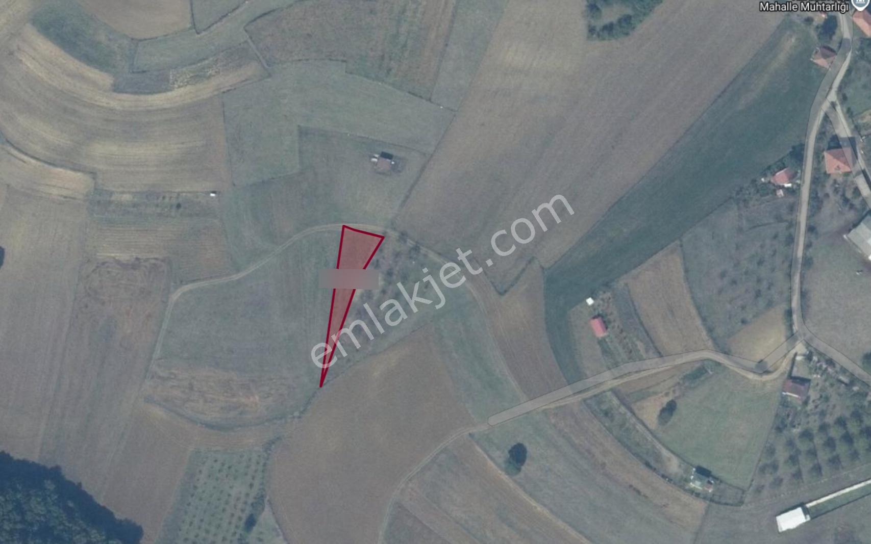 Adapazarı Karadavutlu'da Göl Manzaralı Yatırımlık 980m2 Arazi - Görsel 2