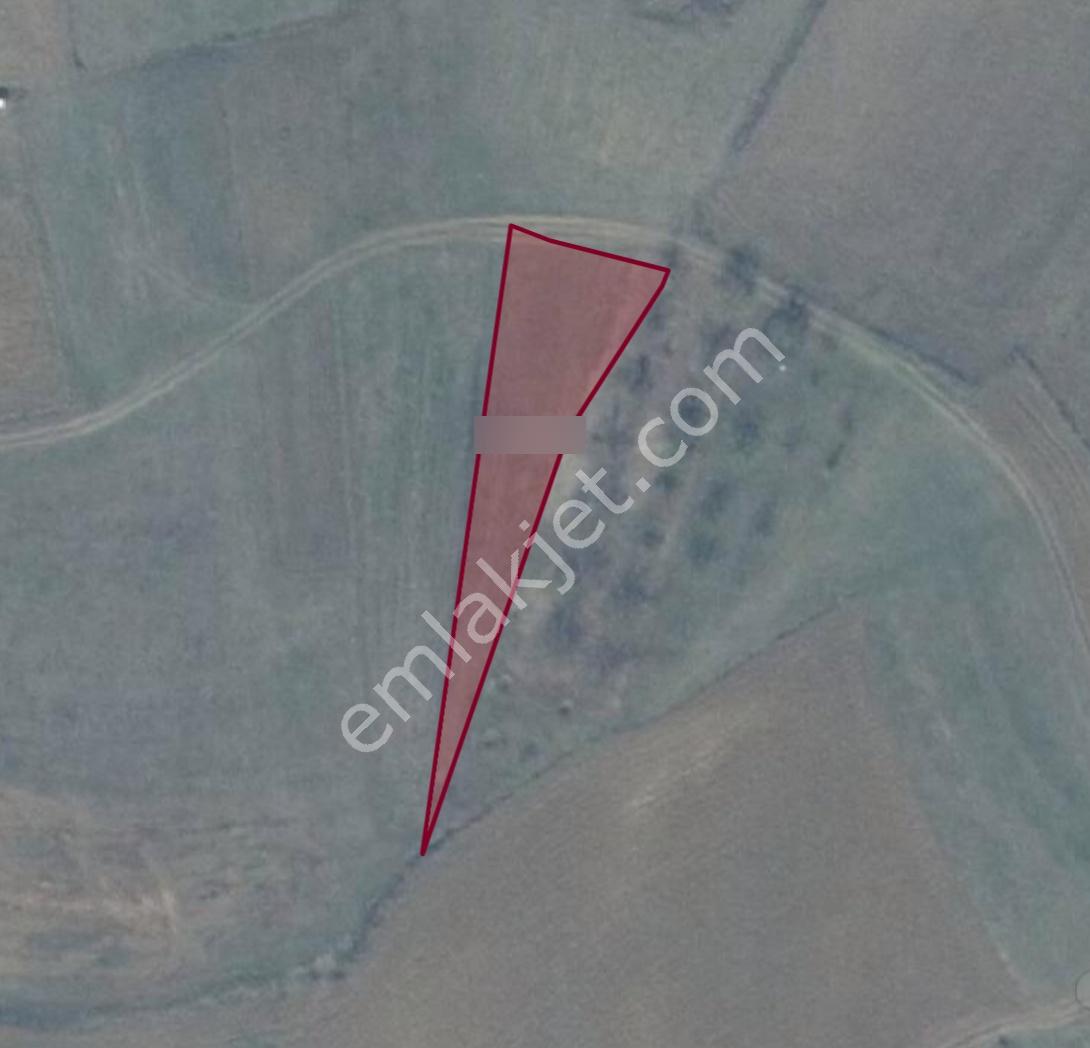 Adapazarı Karadavutlu'da Göl Manzaralı Yatırımlık 980m2 Arazi