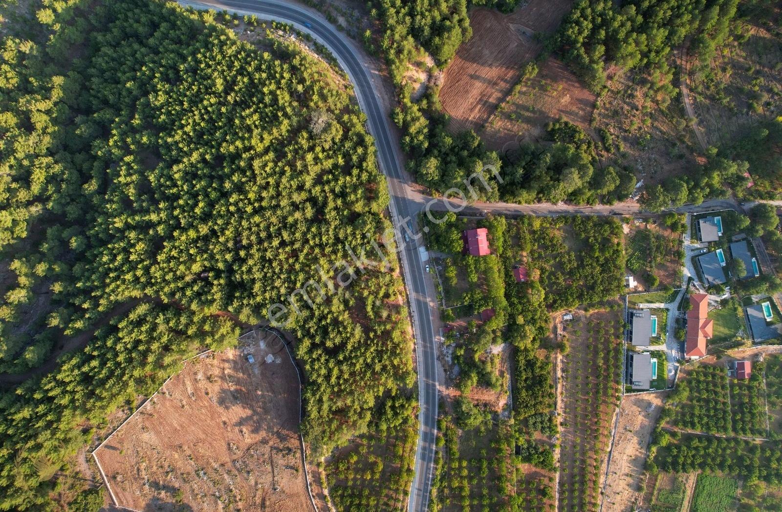 Nif Köyünde "kendi Ormanınızın Sahibi Olun" - Görsel 8