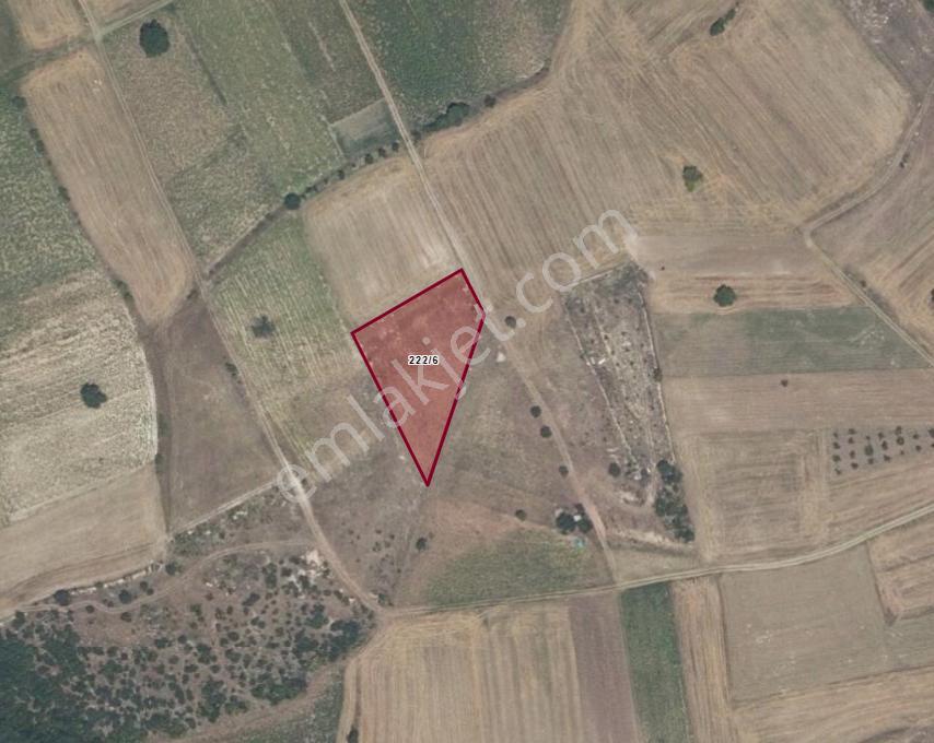 Bursa Yenişehir Çiçeközü 2500 M² Tek Tapu, Resmi Yol Ve Su - Görsel 3