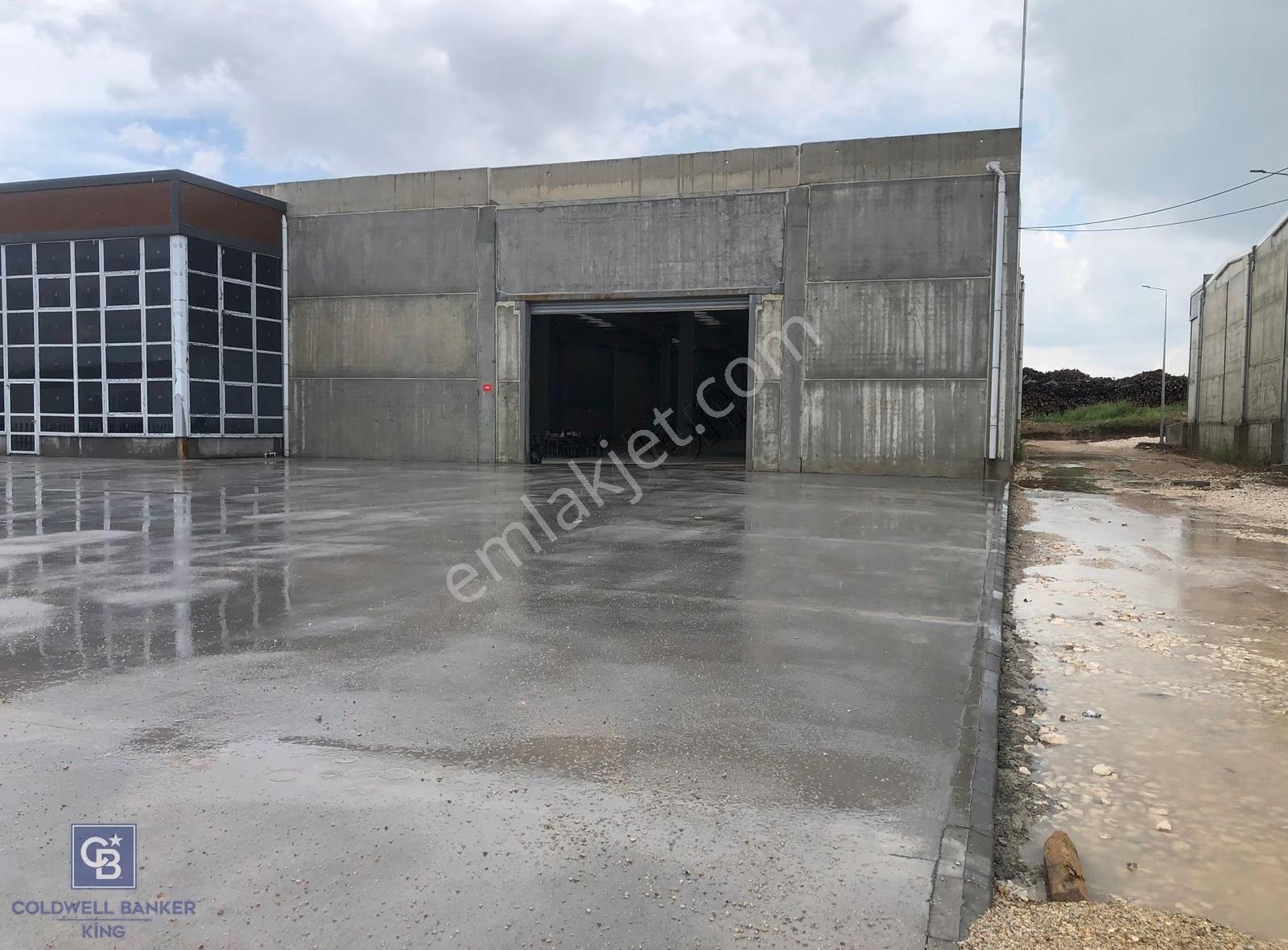 Cb King'den Organize San.marangozlar St. 3000m2 Kiralık Dükkan - Görsel 17