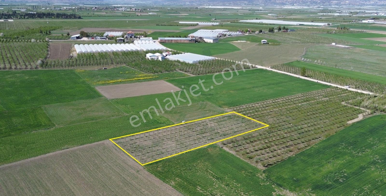 Vip Gayrimekul'den Bayralar Mahallesinde 3.100m² Elma Bahçesi - Görsel 3