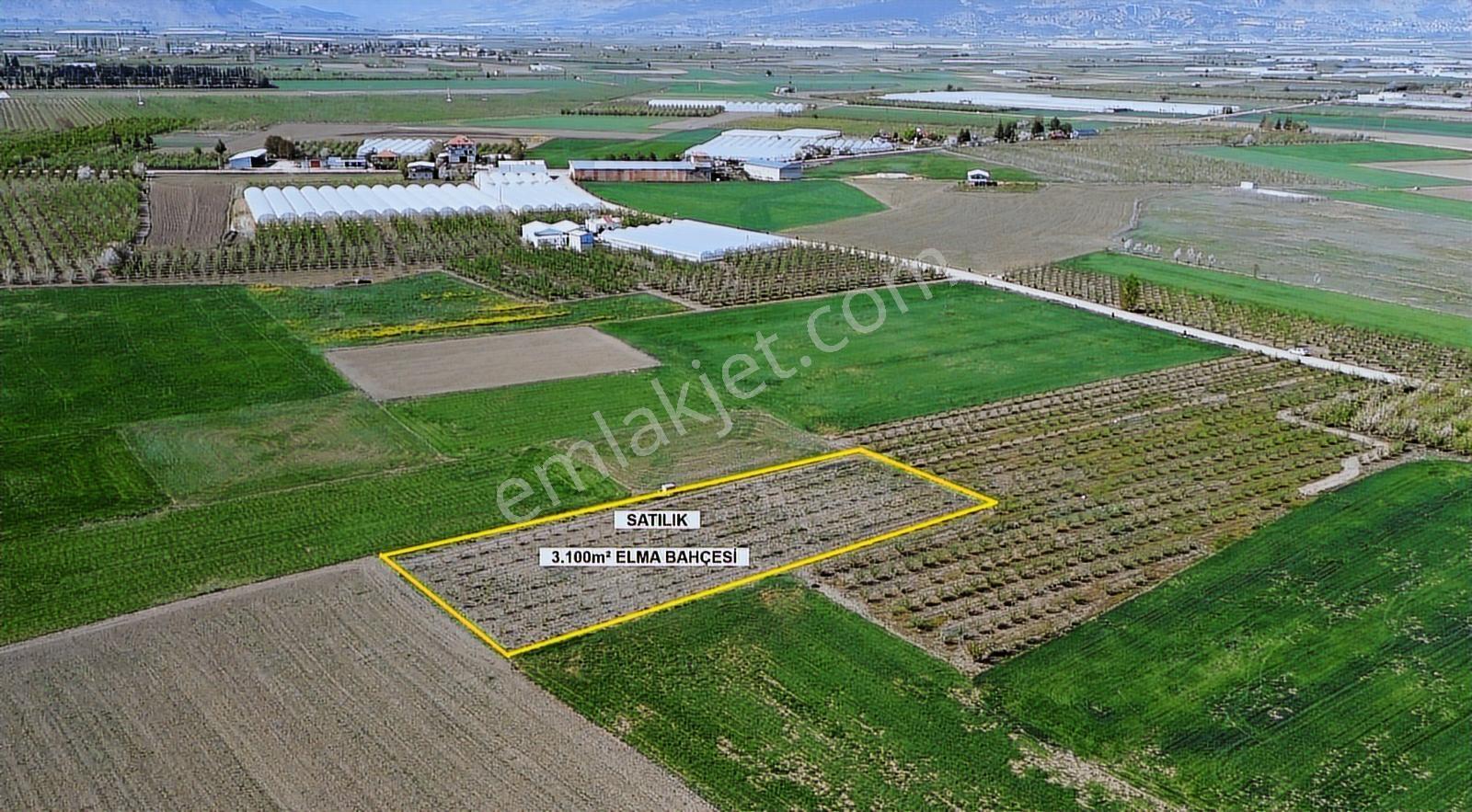 Vip Gayrimekul'den Bayralar Mahallesinde 3.100m² Elma Bahçesi - Görsel 8