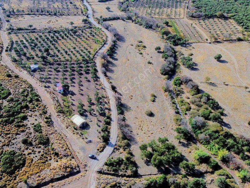 Bülent Ateşci'den Arapdere Mevkisinde 4000 M2 Tarla Hisse Satışı - Görsel 6