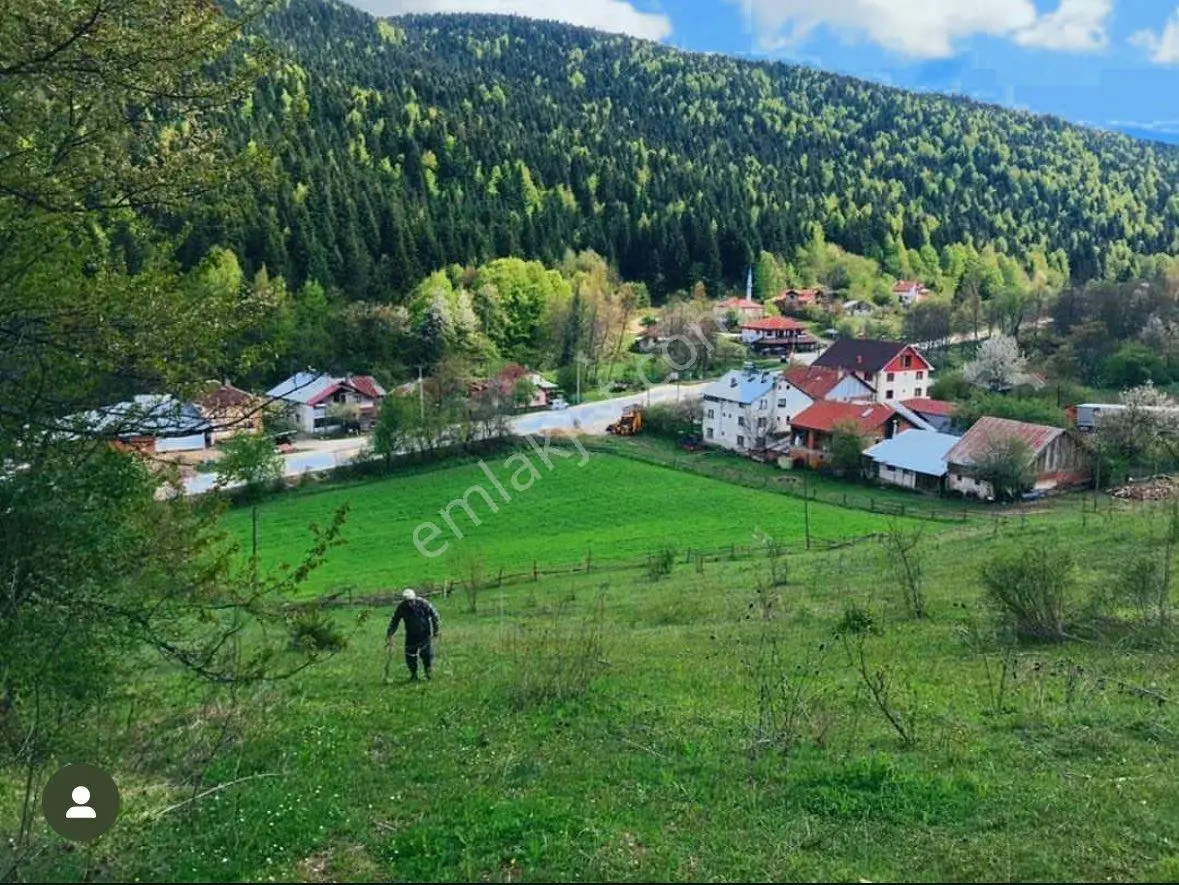 Balcity - Bolu’da Yeşilliğin İçinde Oksijen Deposu Yaşam Alanı-tarıma Hazır Dev Çiftlik Arazi - Görsel 2