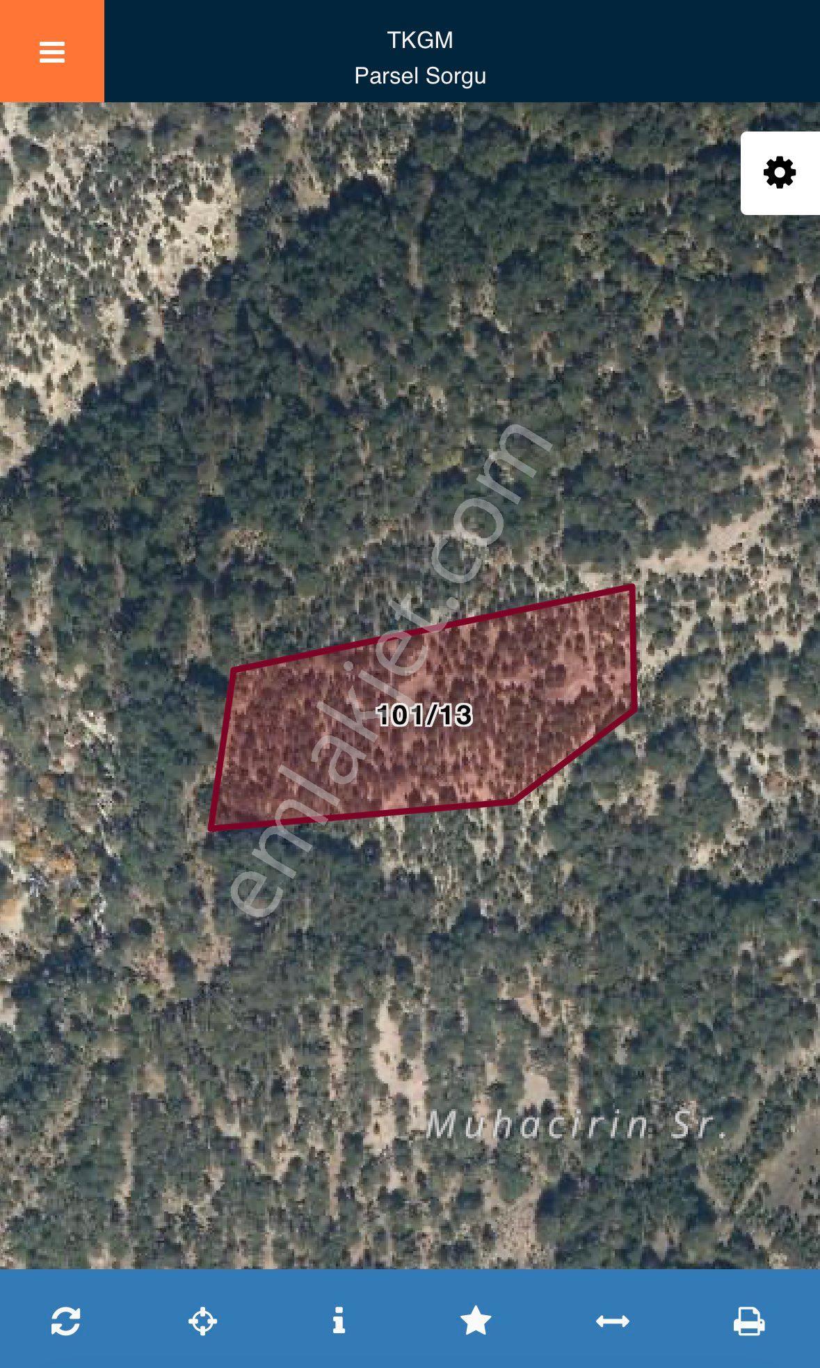 Balcity - Bolu’da Yeşilliğin İçinde Oksijen Deposu Yaşam Alanı-tarıma Hazır Dev Çiftlik Arazi - Görsel 11