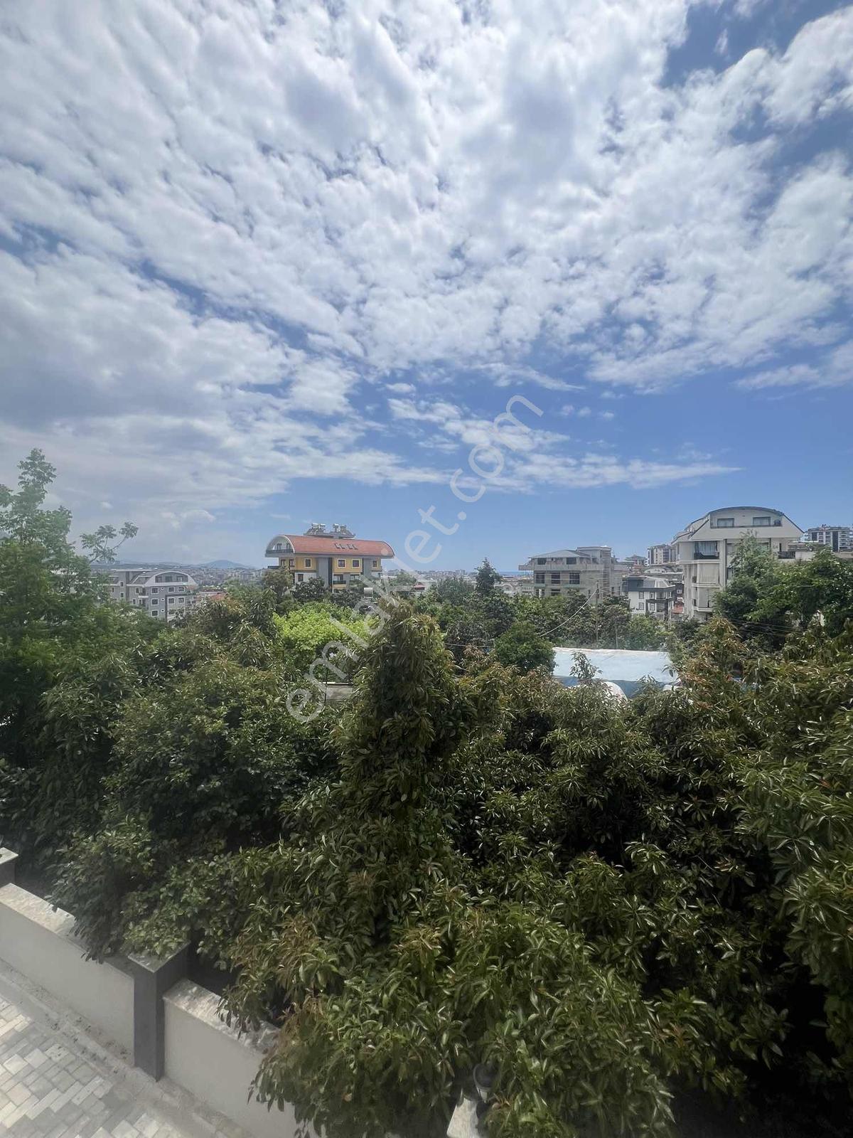 Alanya Çıplaklı Satılık Daire 1+1 - Görsel 2