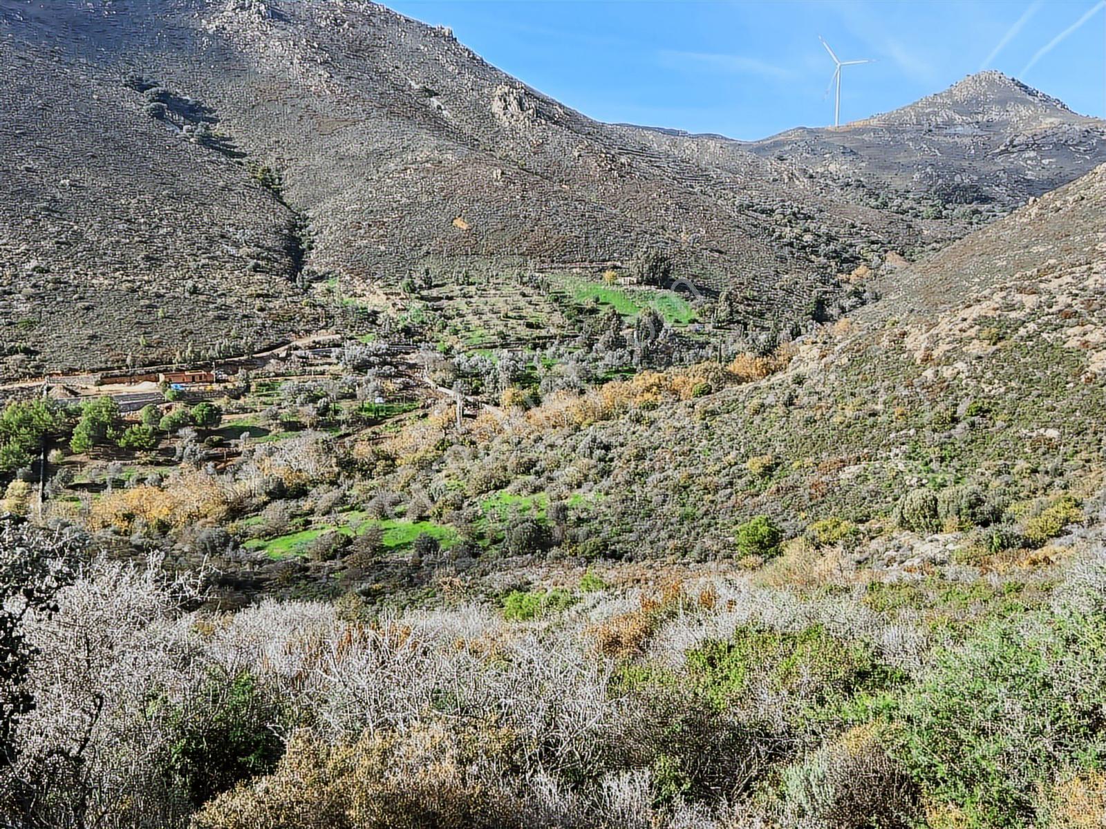 Bodrum Dereköyde Satılık Deniz Manzaralı Tarla - Görsel 20