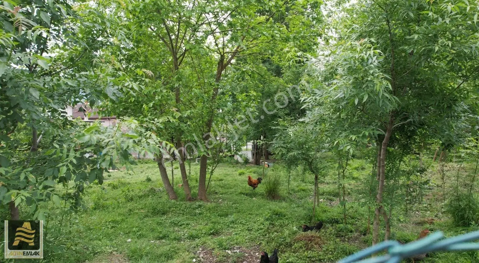 Arifiye Ahmediye Mah.satılık Arsa - Görsel 2