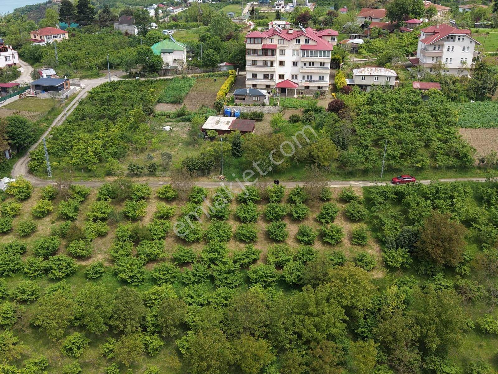 Vıp Real Estate Akyazıda 668m2 Satılık Arsa - Görsel 4