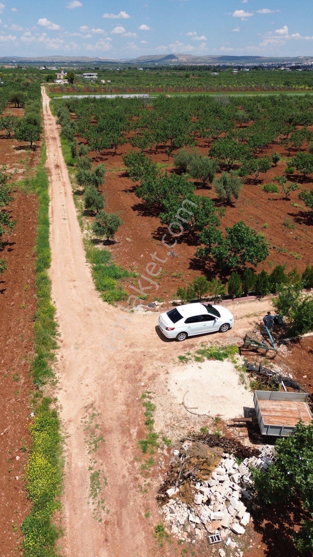 Nova Gayrimenkul'den Altınyurt Da Fıstıklık İçinde Evi Mevcut - Görsel 4